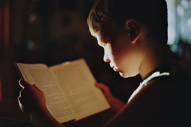 本を読む少年