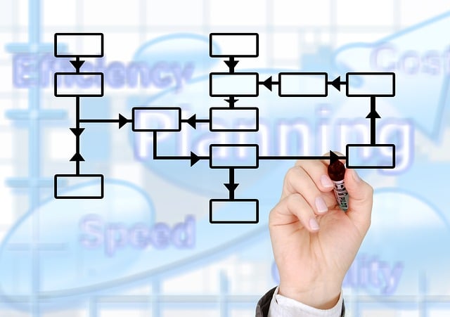 career-roadmap